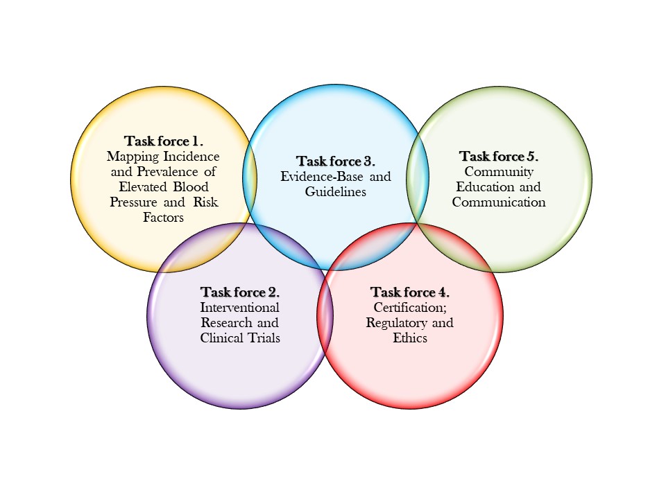 Task forces in AfSoH